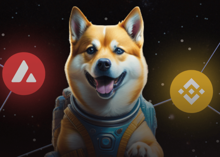 New Meme Coin Dogeverse Raises $13M in ICO – the Next Dogecoin?