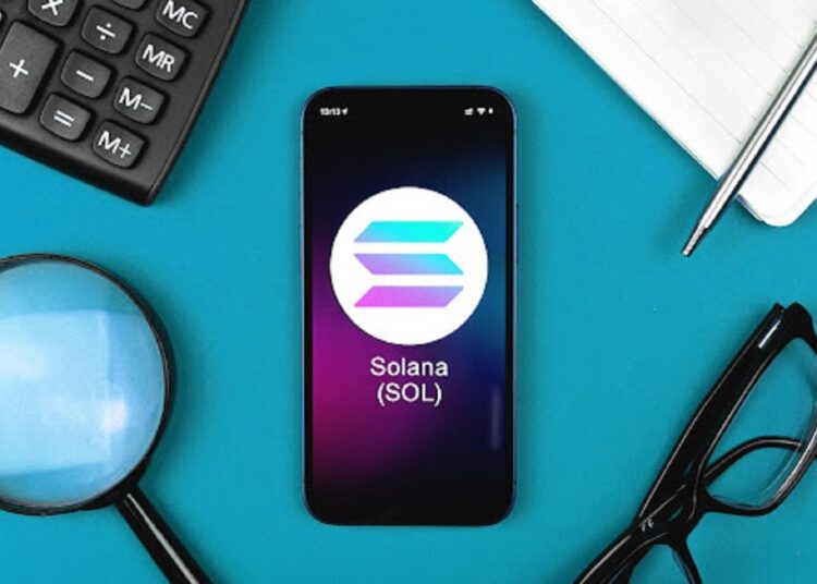 DePIN Protocol on Solana Sees Surge in Adoption in 2024