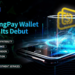 DDO Chain to Launch DingPay Wallet, an Upcoming Ecosystem Application