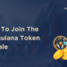 Penguiana, A Penguin-Themed Meme Coin, Set To Launch Demo Of Its Play To Earn Game, Fills Almost 30% Of Its Presale Allocation