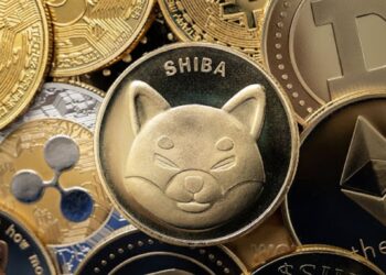 This Shiba Inu (SHIB) Rival Might Be the Next Meme Coin to Explode