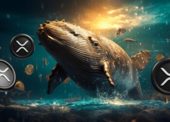 Whale Activity Surges as Ripple’s SEC Reply Sparks Market Interest