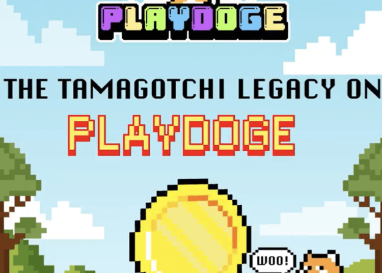 Fastest Growing Crypto ICO PlayDoge Nears $5M Raised – Best Meme Coin to Buy?