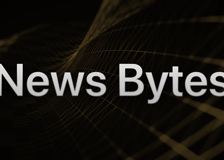 South African Police Nab Alleged Mastermind of Metaverse Ponzi Scheme
