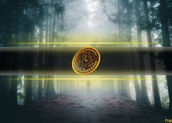 Researchers Regain Access to 11-Year-Old Crypto Wallet, Recover BTC Worth $3M