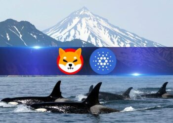 Cardano, Shiba Inu, Jasmy Catch Whale Fever as Large Transactions Spike