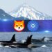 Cardano, Shiba Inu, Jasmy Catch Whale Fever as Large Transactions Spike