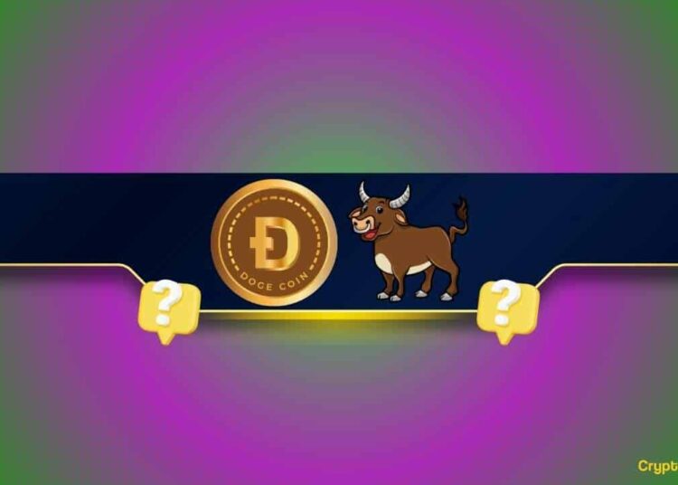 What’s Next for the Meme Coin