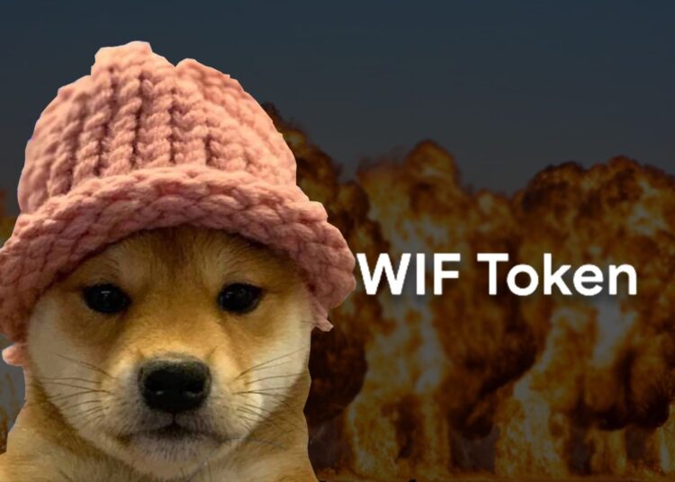 Dogwifhat Faces Sharp Decline, Exits Top 50 Crypto After Crash