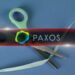 Paxos Reportedly Downsizes Workforce by 20%: Details