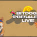 BitDoge Memecoin Launches Presale on Bitcoin Network