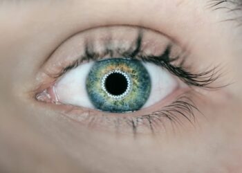 The Risks of Iris Scanning for Cryptocurrency in Peru