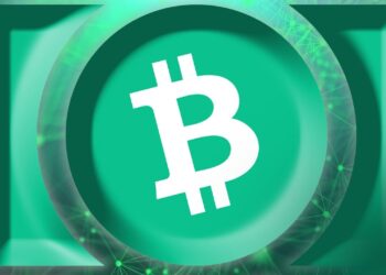 Innovative Block Size Upgrade Takes Spotlight at Bitcoin Cash Bliss Conference