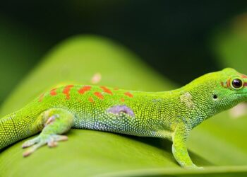 Coingecko Data Breach Affects Nearly 2 Million Users