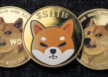 The Memecoin Frenzy Has Ignited a Scalability Arms Race