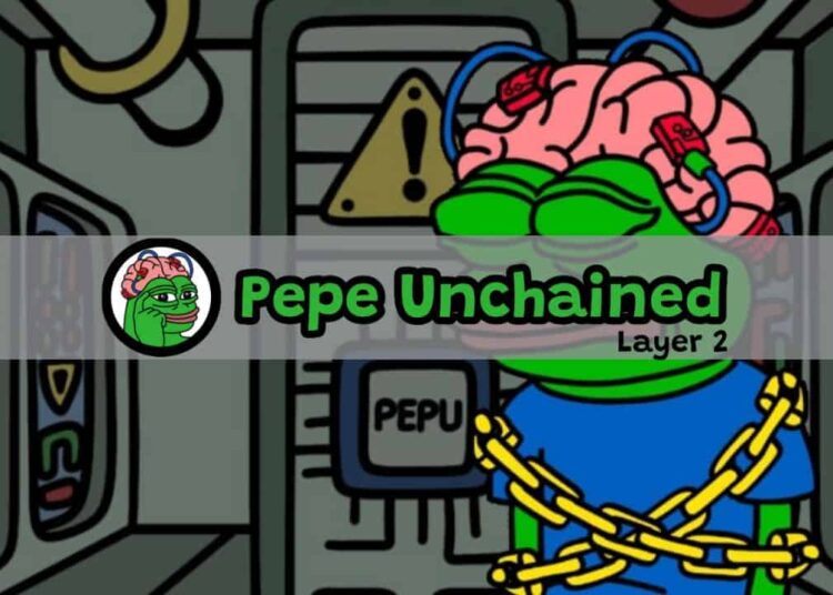 Layer-2 Meme Coin Pepe Unchained Raises $500K