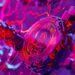 Proof-of-Work Altcoin Defies Market Doldrums and Surges by 25% This Week Ahead of New Token Standard Launch
