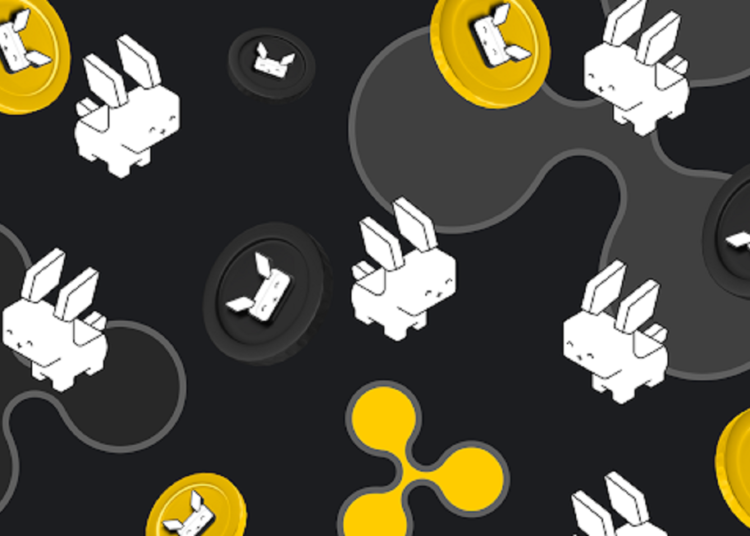 XRP and Aevo Drown In Market Volatility, As Raboo Shatters Records With Unparalleled Performance