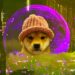 Largest dogwifhat (WIF) Holder Accumulates More Coins While Other Memecoin Whales Capitulate: Lookonchain