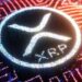 Ripple CEO Expects SEC to Approve Spot XRP ETF Next Year