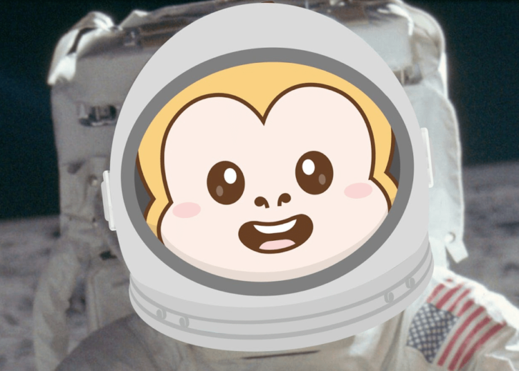 MoonBag ($MBAG) Price Prediction – MBAG ICO Raises $3 Million, Next Big Crypto?