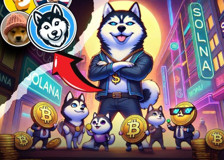 Solana’s Superstar Memecoins: $HINU, $WIF, $BONK, and $MAGA