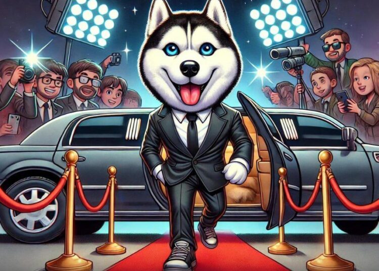 All Eyes on Husky Inu’s ($HINU) Presale