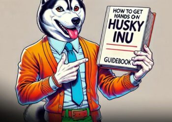 How to Get Your Hands on Husky Inu ($HINU)