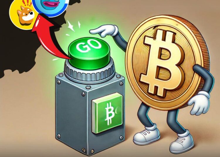 $WIF, $BONK, and $BRETT, wait for $BTC green light