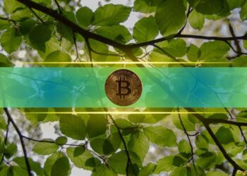 Bitcoin Topped $68,000, What Has Driven The 17% Weekly Surge?