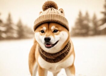 Dogwifhat Token Suffers Big Hit Amid Crypto Market Downturn