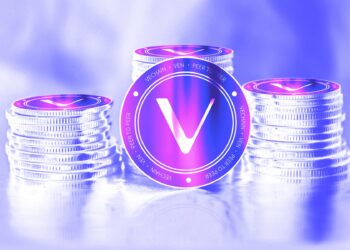 Meet the Creators of VeFe