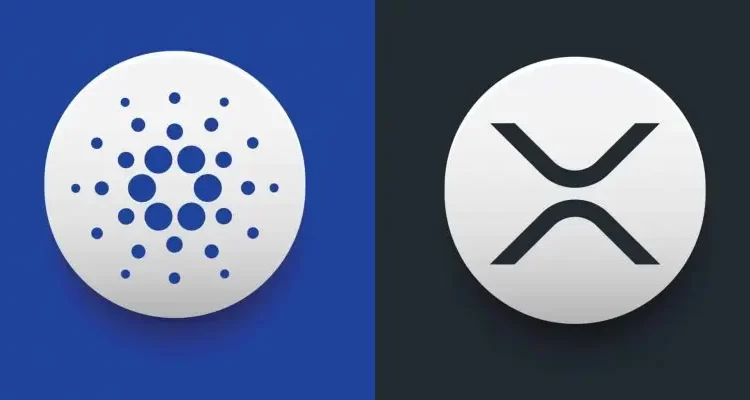 Nothing Other Than Cult Memecoins