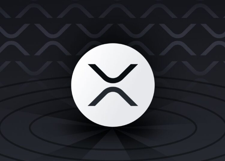 XRPL-based Wallet and C14 Integration Simplifies Crypto Transactions