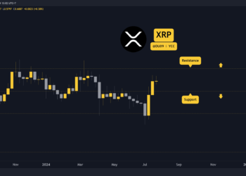 Can Bulls Defend $0.6 or is a Crash Coming?