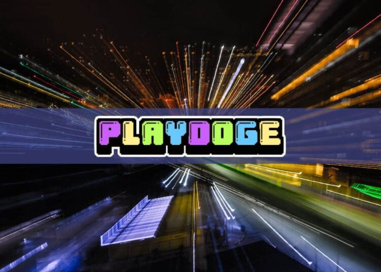 Notcoin Rises Over 25% Despite Bearish Conditions as New P2E Token PlayDoge Raises $5.5M in ICO