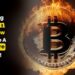 8 Best Altcoins to Buy Now & Become a Millionaire in 2 Years! (July 2024 Updated)