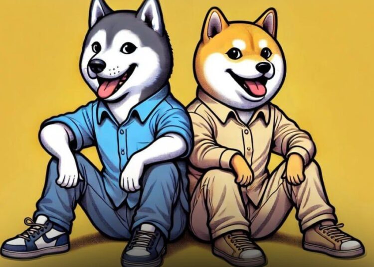 Shiba Inu’s ($SHIB) Best Friend, Husky Inu ($HINU) Set for Explosive Growth This Year