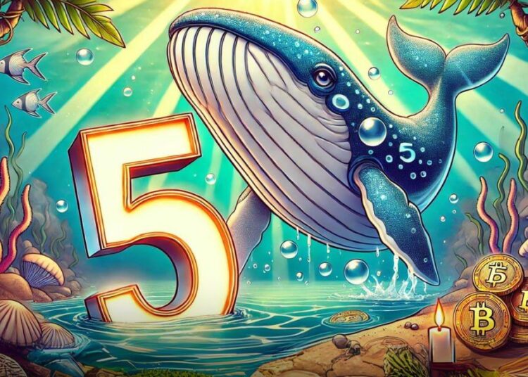 Crypto Whales’ Bullish Bets: 5 Altcoins They’re Stocking Up for the Next Upcoming Market Cycle