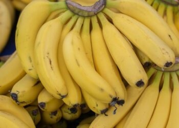 The TON Blockchain Goes Bananas, Giving Birth To The Best Tokenization Model In Gaming