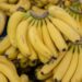 The TON Blockchain Goes Bananas, Giving Birth To The Best Tokenization Model In Gaming