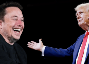 How Donald Trump, Elon Musk Can Kickstart The Next Crypto Bull Run?