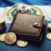 El Salvador’s Chivo Wallet Has Not Presented Any Financial Balances Since Its Creation