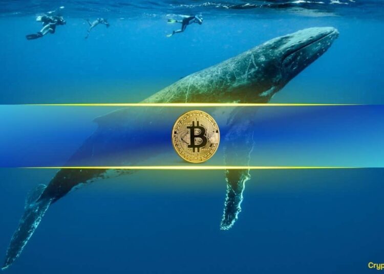 Bitcoin Whales Scoop Up 94.7K BTC in Just 6 Week