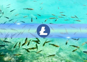 Small Litecoin (LTC) Fishes Are ‘Jumping Ship,’ Here’s What it Means