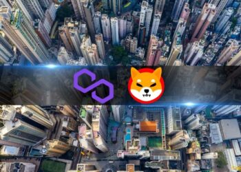 Centralization Threats Loom as Polygon and Shiba Inu Exhibit High Concentration Among Top Wallets