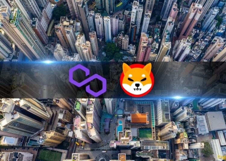 Centralization Threats Loom as Polygon and Shiba Inu Exhibit High Concentration Among Top Wallets