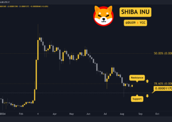 New Shiba Inu (SHIB) Bull Run Possible but Under an Important Condition: Details