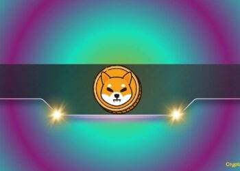 Important Shiba Inu Indicators Head North: SHIB Price Recovery Incoming?
