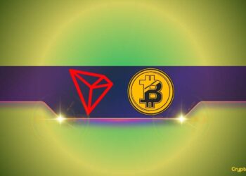 These Are the Leading Cryptocurrencies With the Most Profitable Holders: Details